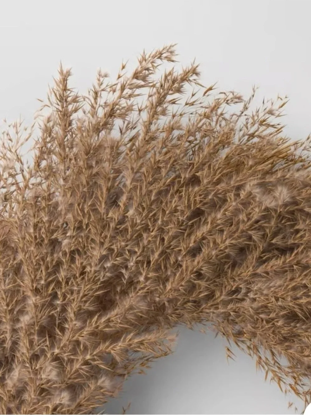 NWT Threshold Preserved Pompas Grass Wreath